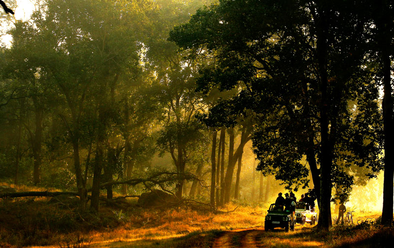 Bandhavgarh National Park