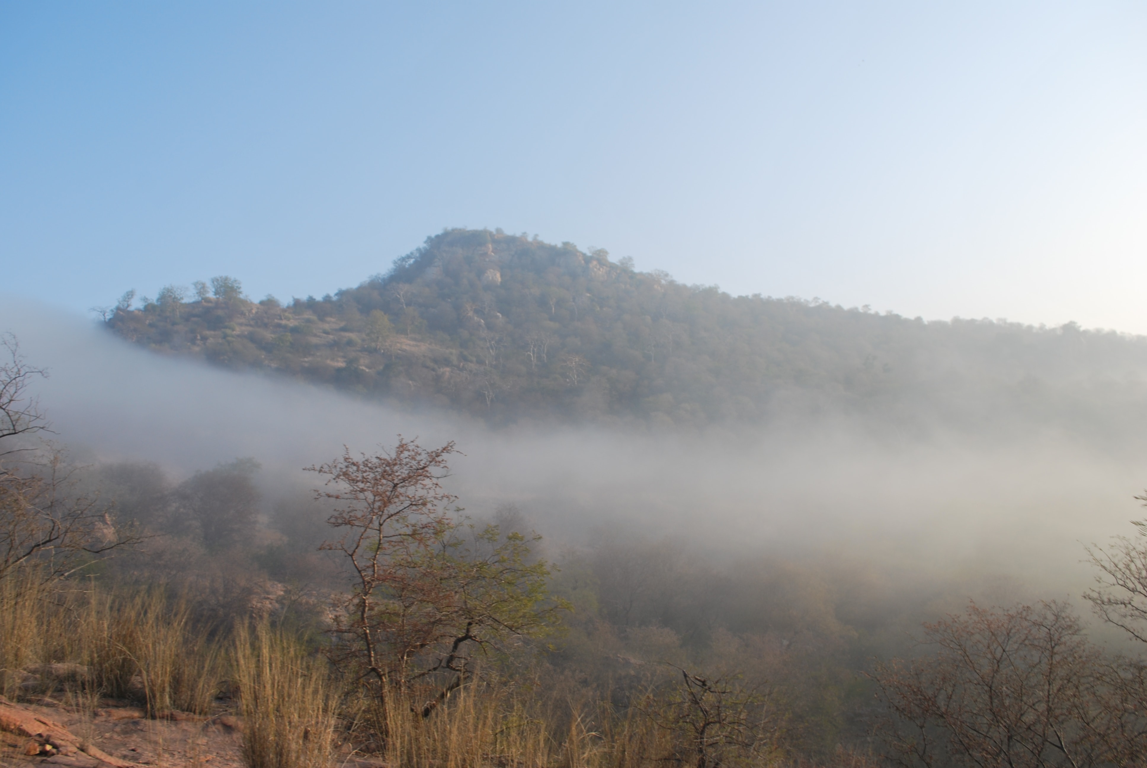 RANTHAMBORE NATIONAL PARK