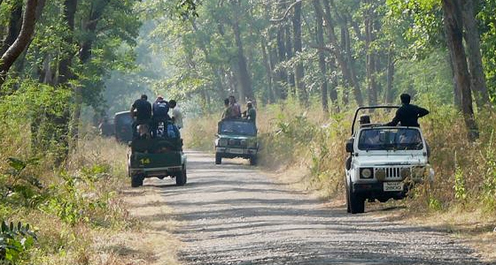 TADOBA