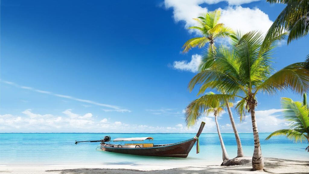 vacation in island with boat and palm tree